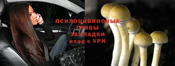 хмурый Абаза