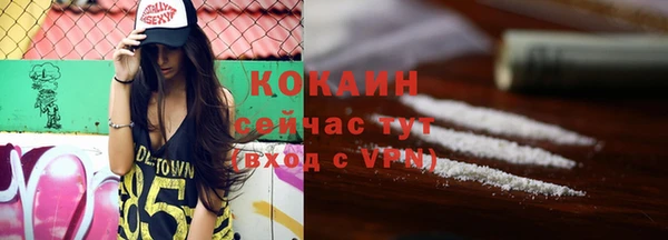 хмурый Абаза