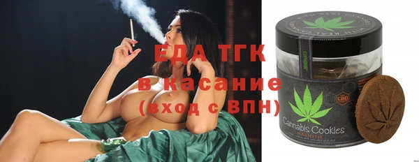 хмурый Абаза