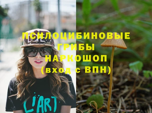 хмурый Абаза