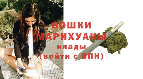 дмт Переславль-Залесский